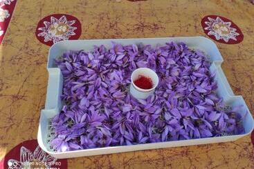 Bed and Breakfast Chambres D'hotes Au Vieux Logis