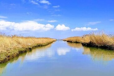 酒店 Agriturismo Tenuta Castel Venezze