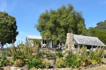 بنسيون Sassafras Springs