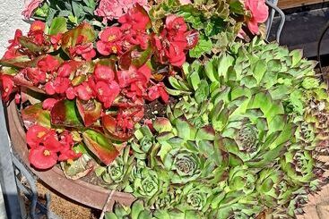 Pension Dreilandereck