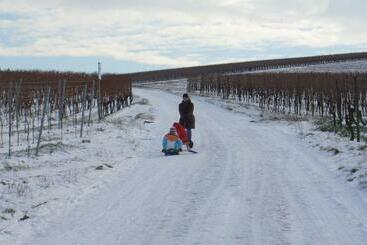 호스텔 Gasthaus Zur Sonne