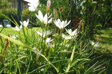 مبيت وإفطار Al Pic De Corone