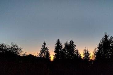 ホテル Albergo Ristorante Pineta