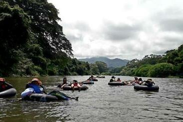 酒店 Taironaka Ecolodge