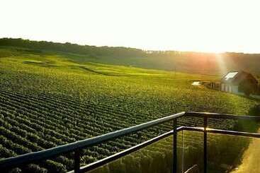 Пансион Dans Les Vignes