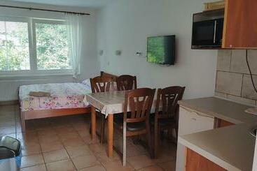 פנסיון Ubytování Carmen