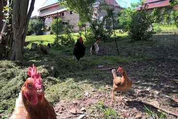 민박 Atelier Reinhart