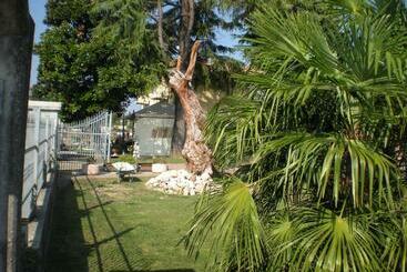 Bed and Breakfast Camere Solidea