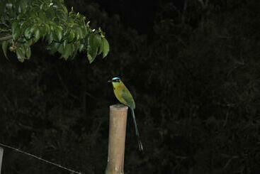 Bed and Breakfast Finca Cafe Bernal