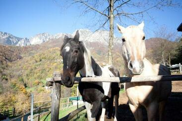 Bed and Breakfast L'angolo Di Paradiso
