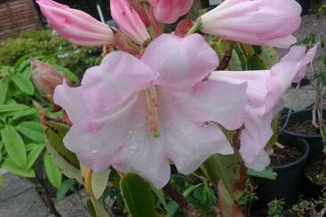 민박 Victoria's House