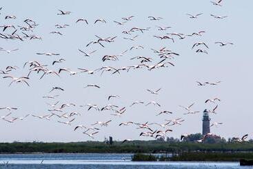 فندق Albergo Ristorante Uspa