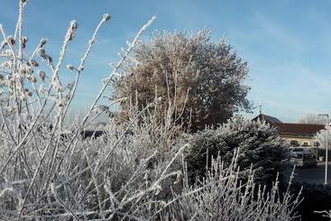 펜션 Gäste Haus Rösch