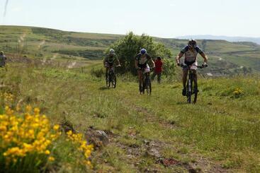 住宿加早餐 L Auréluce