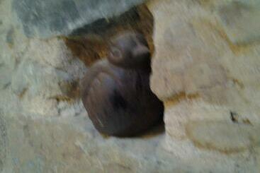 צימר Le Clos Du Merle