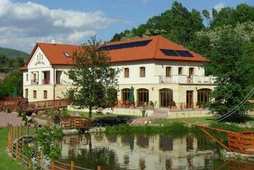 בית מלון כפרי Aranybánya