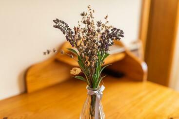 بنسيون Casa Sandina