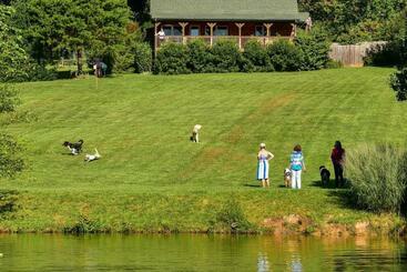 استراحتگاه Barkwells