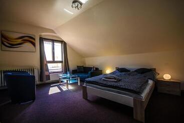 پانسیون Penzion Měšťan