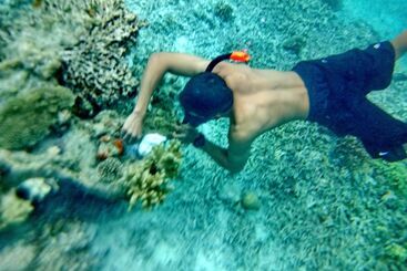 Bed and Breakfast Raja Ampat Dive Lodge