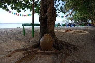 تختخواب و صبحانه Hoga Island Dive Resort Wakatobi