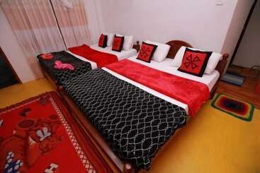 Pension Ella Forest Eco View