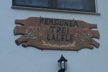 호텔 Pensiunea Trei Lalele