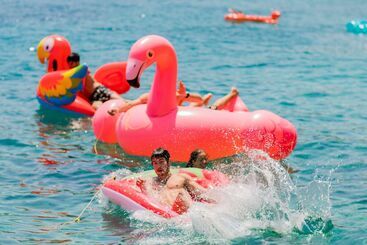 Отель Peninsula Resort & Spa