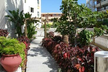 Los Ficus
