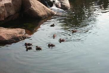 ホテル Bagaglino I Giardini Di Porto Cervo