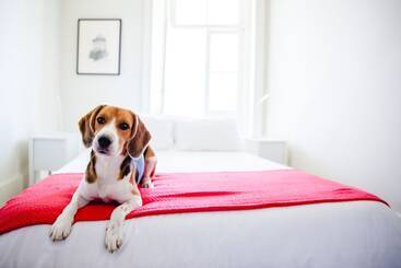 מלון דירות Home Made Guest Studios