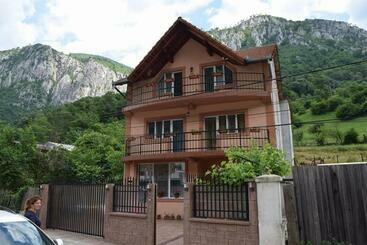 بنسيون Casa Visescu