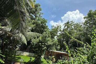 Общежитие Palmare House