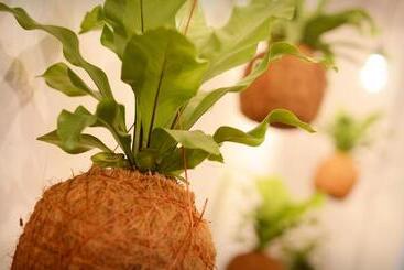 ペンション The Corner House Hostel