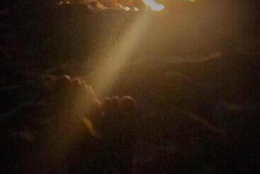 ペンション Barefoot Zanzibar