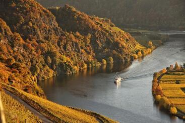 ペンション Weingut Koch