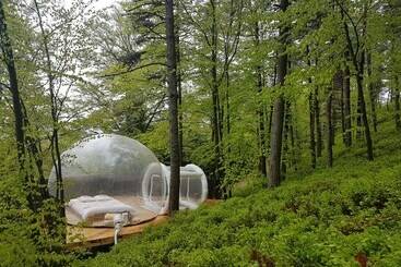 住宿加早餐  La Bulle Transparente   La Myrtille