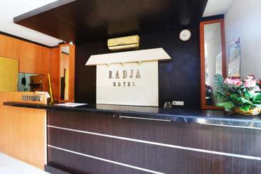 Отель Radja