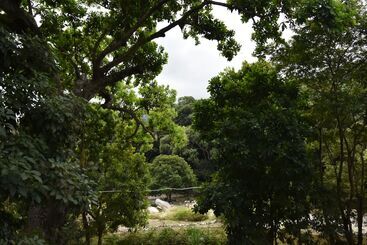 膳宿费 Eco Hostal Kuima