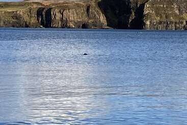 住宿加早餐  Glendale View