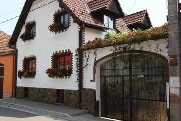 بنسيون Casa De Vacanta Vidrighin