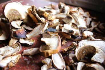 بنسيون Skhovanka Dovbusha