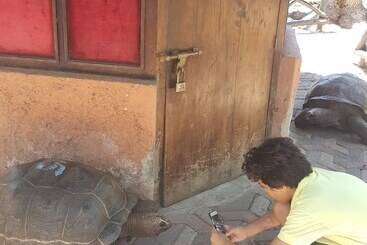 בית מלון כפרי Imani Beach Villa