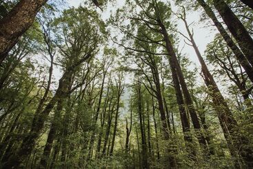 酒店 Maruia Hot Springs