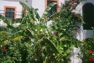 Hadi Aparthotel