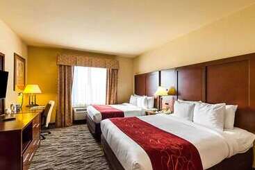 فندق Comfort Suites At Plaza Mall