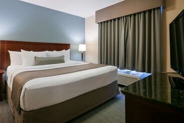 ホテル Best Western Rocky Mountain House