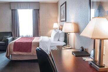 ホテル Comfort Inn