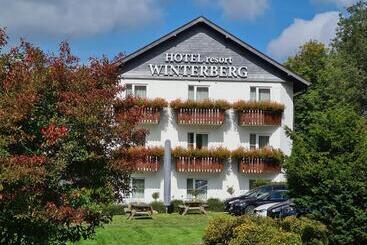 酒店 Winterberg Resort