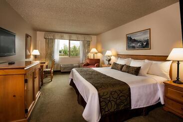 酒店 Coast Inn At Lake Hood